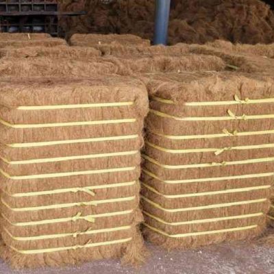 cocofiber (1)